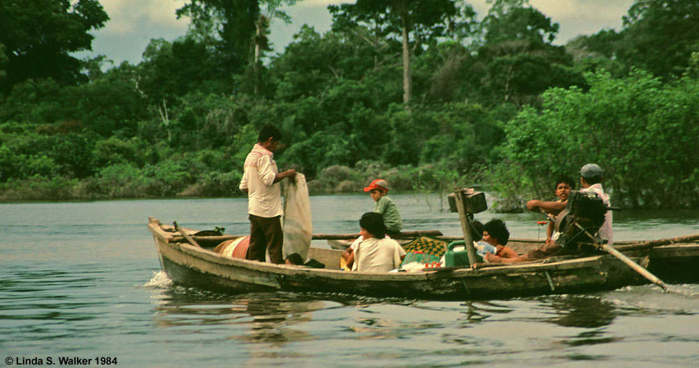 A family outing on the Amazon River, Peru