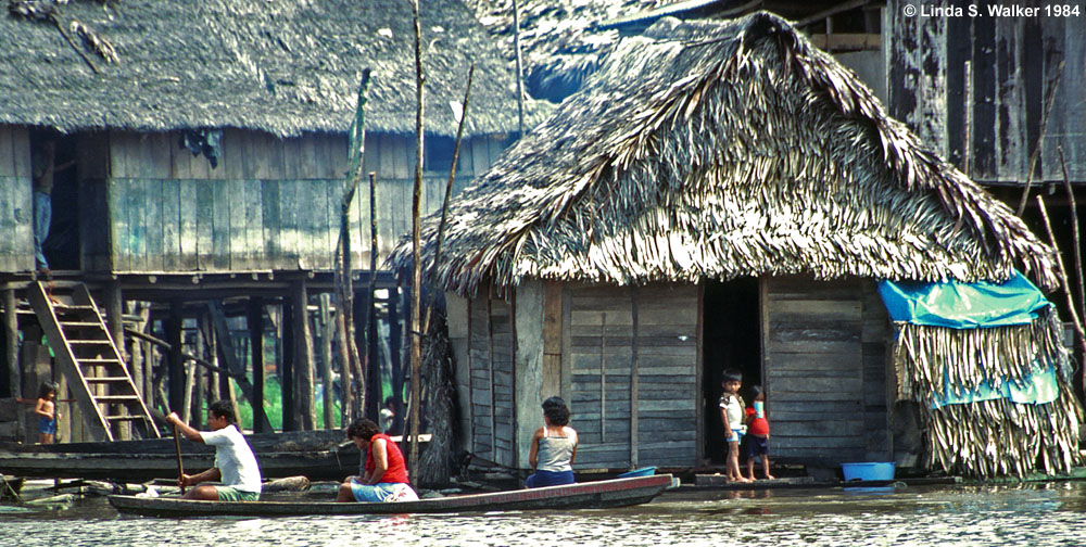Floating house and a house on pilings, Belen, Amazon River, Peru