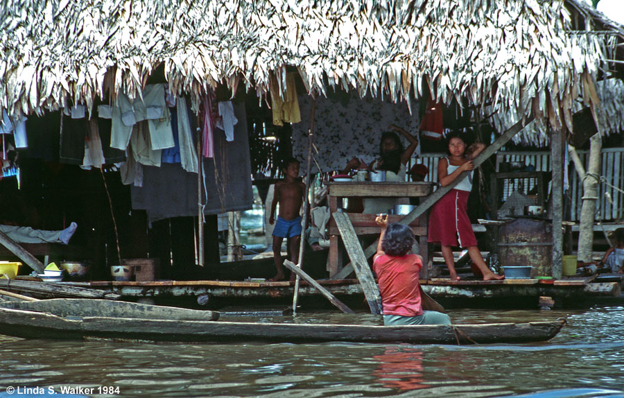 Life in a floating house, Amazon River, Belen, Peru