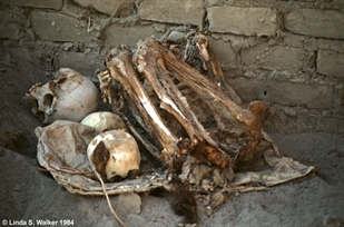 Bones, Nazca, Peru