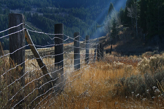 Sharp Shooters Camera Club, Montpelier, Idaho assignment - fence lines