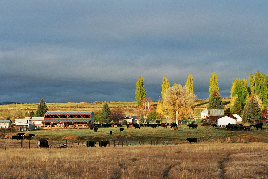 Ovid in the Morning, Idaho
