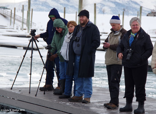 Sharp Shooters Camera Club field trip, Bear Lake Polar Plunge