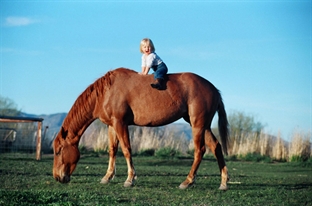 Happy on horseback