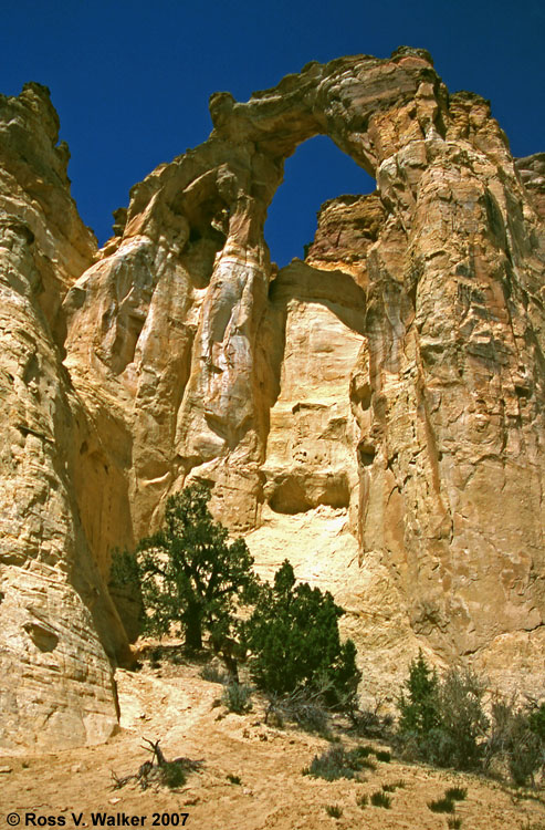 Grosvenor Arch, Grand Staircase Escalante National Monument, Utah