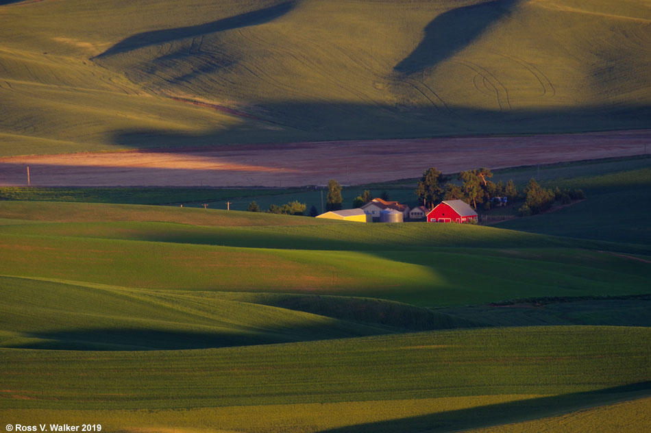 A farm catches the last light of the day, seen from Steptoe Butte, Washington
