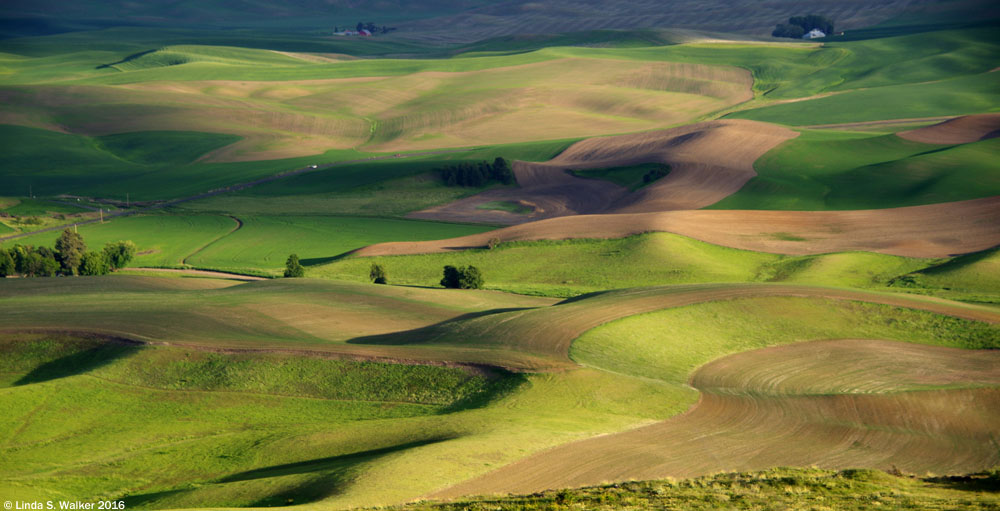 A complex pattern of fields and shadows seen from Steptoe Butte, Washington.