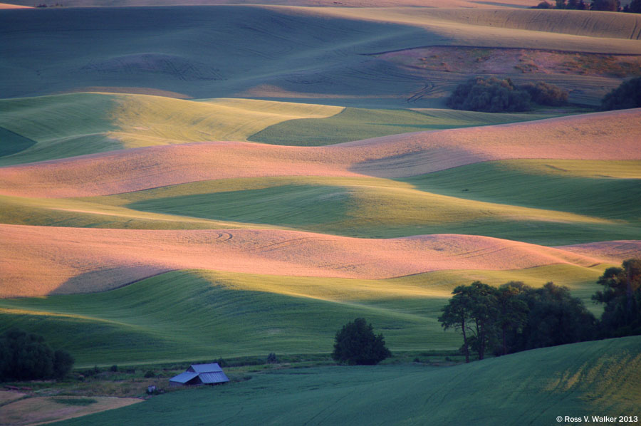 An old barn in shadow at the end of the day, seen from Steptoe Butte, Washington.