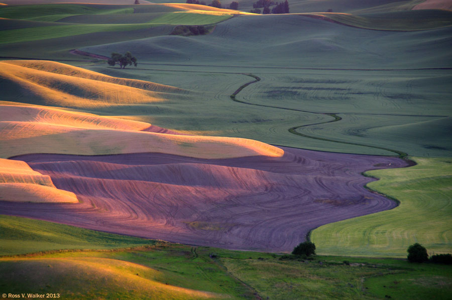 Creek and curvy fields at the last light of day, from Steptoe Butte, Washington