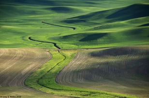 Irrigation ditch from Steptoe Butte