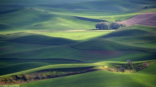 Grove from Steptoe Butte