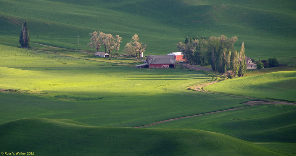 Late afternoon light touches a farm nestled in a valley near Steptoe Butte, Washington