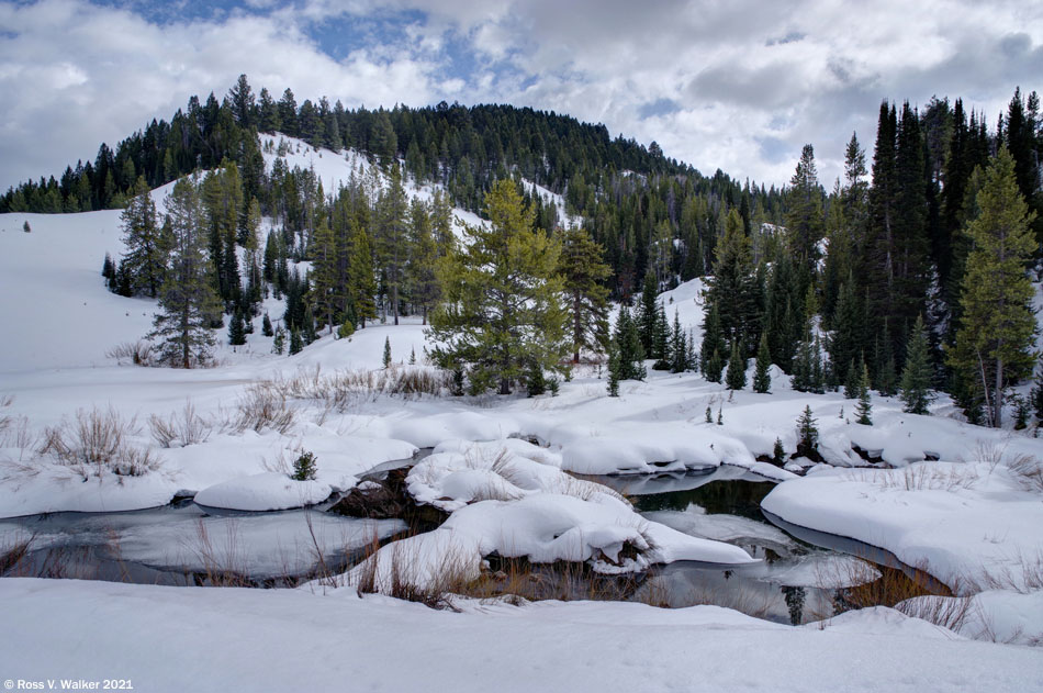 The ice has started to melt off beaver ponds on Salt Creek, Wyoming