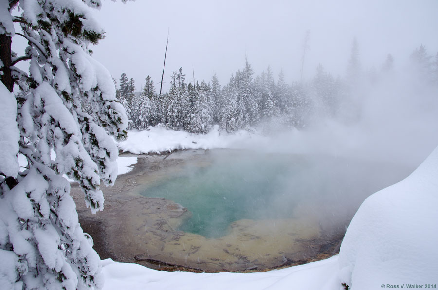 Emerald Spring in winter, Yellowstone National Park, Wyoming