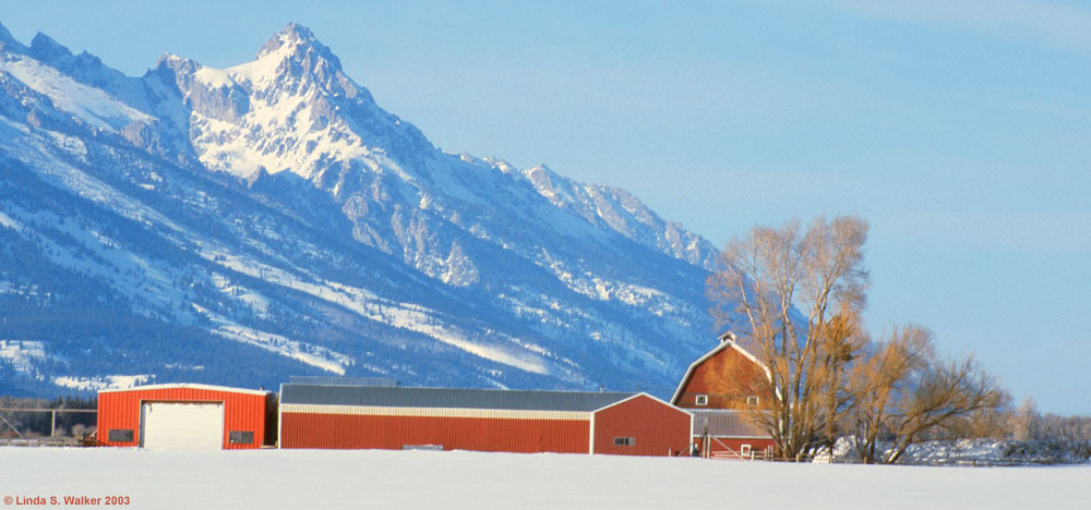 Barn and Grand Teton Mountains near Jackson Hole, Wyoming