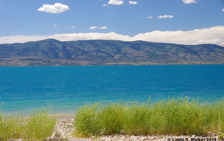 Turquoise water from Cisco Beach, Bear Lake, Utah