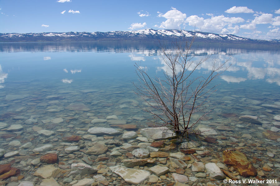 The clear water of Cisco Beach, Bear Lake, Utah