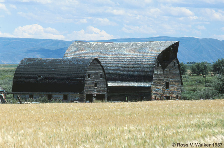 Classic arch roof barns in Lanark, Idaho
