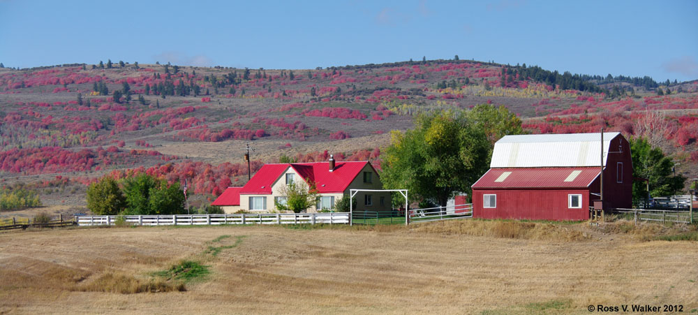 Red farm and foliage, Liberty, Idaho