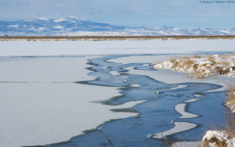 Melting ice along the edge of Mud Lake, Bear Lake County, Idaho