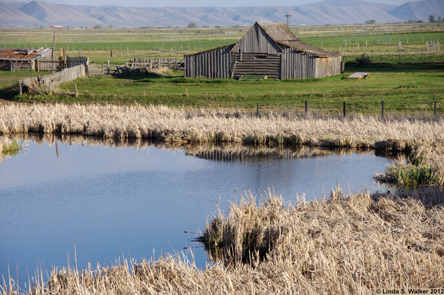 Barn and farm pond, Ovid, Idaho.