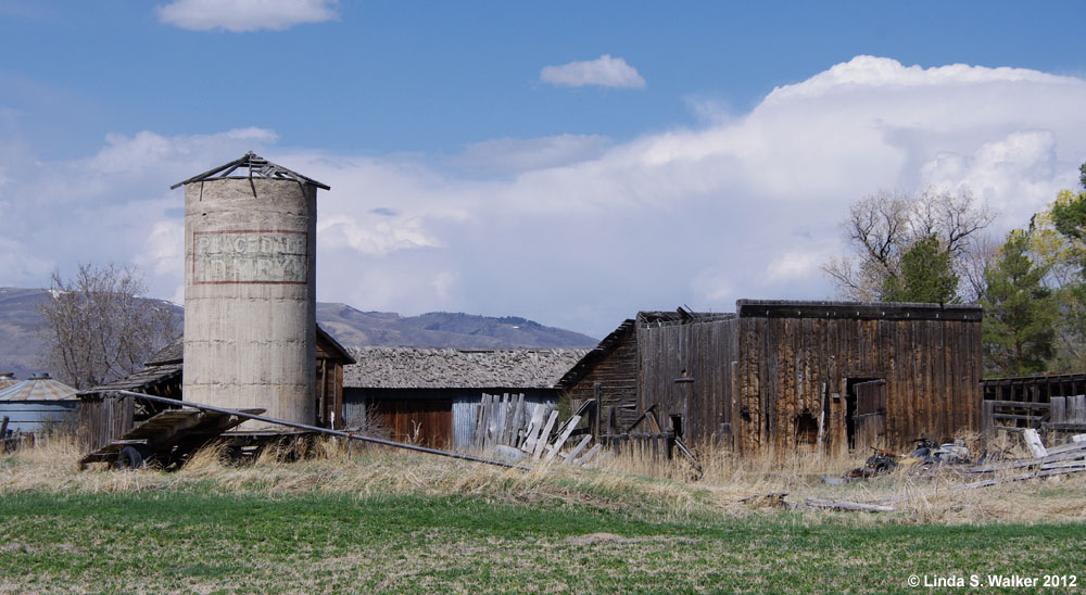 A variety of barns and an old silo from the Peacedale Dairy at Wardboro, Idaho