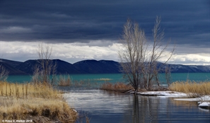 Bear Lake and Spring Creek, Idaho