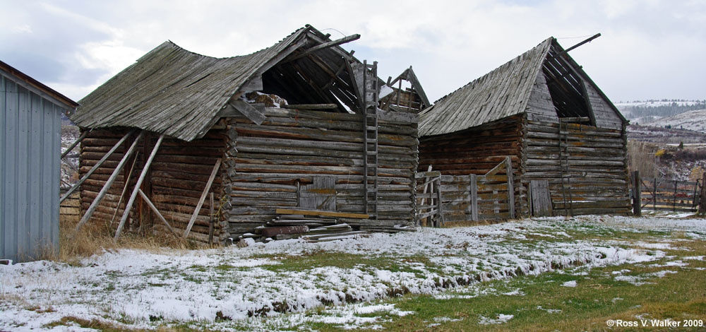 These twin log barns in Liberty, Idaho have both collapsed.