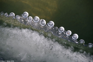 Ice pearls