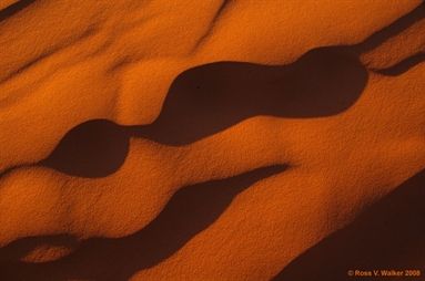 Dune ripple