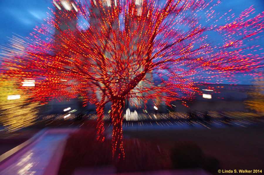 Christmas light zoom, Temple Square, Salt Lake City, Utah