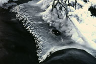 l_t_eye_in_the_ice.jpg