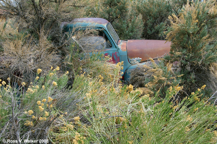 An old GMC abandoned in the sagebrush, Belmont, Nevada