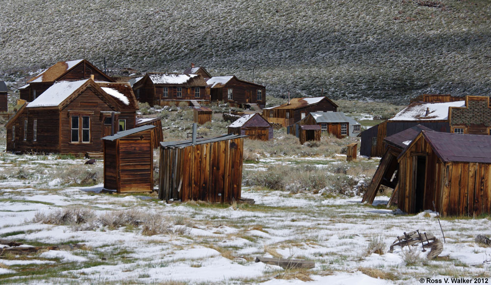 Houses in the Park Street area of Bodie, California