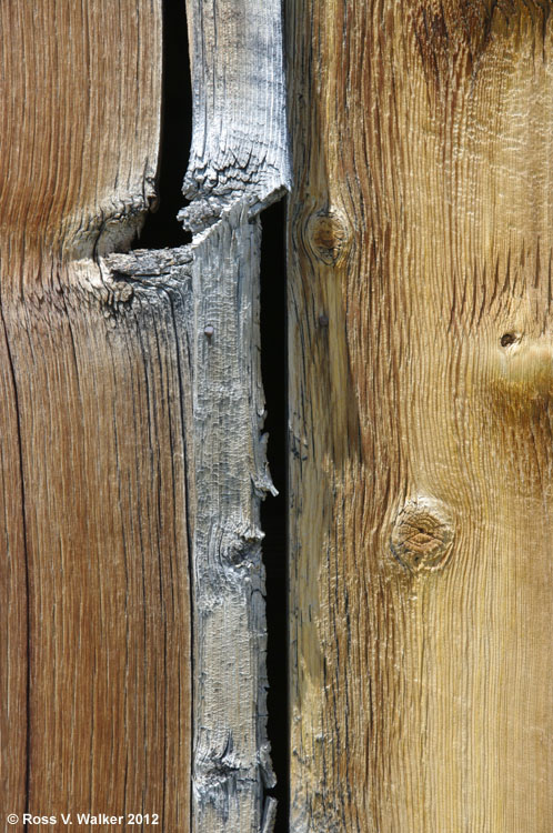 Beautiful wood grain in a weathered cabin wall, Bodie, California
