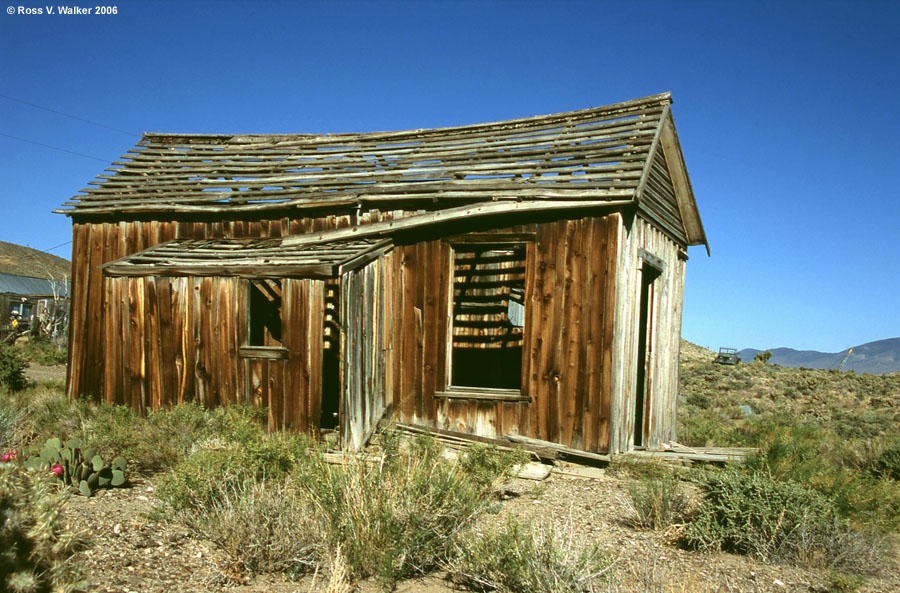 Old cabin with beautiful weathered wood, Gold Point, Nevada