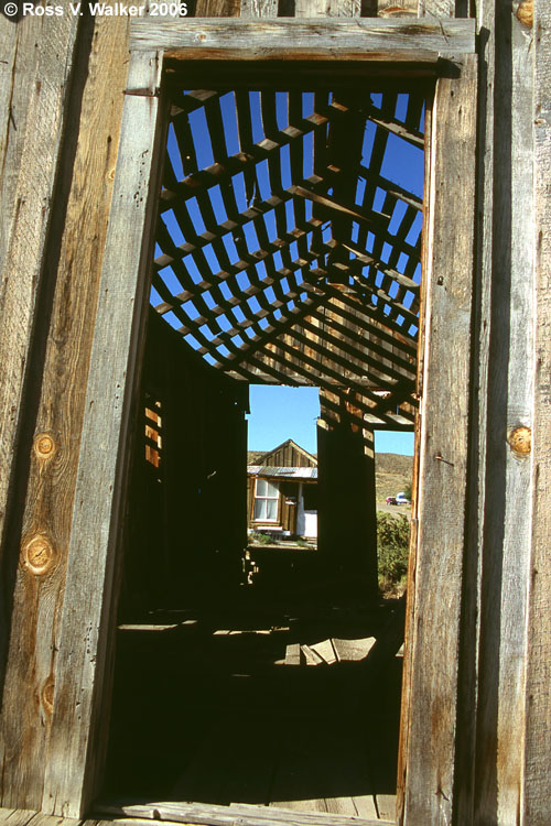 Cabin interior with missing shingles, Gold Point, Nevada