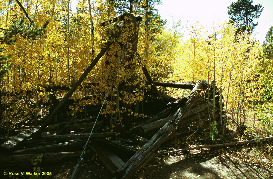 Young aspens growing by a headframe, Miner's Delight, Wyoming