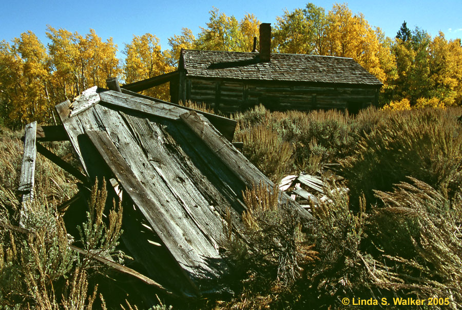 Collapsing outhouse, Miner's Delight, Wyoming