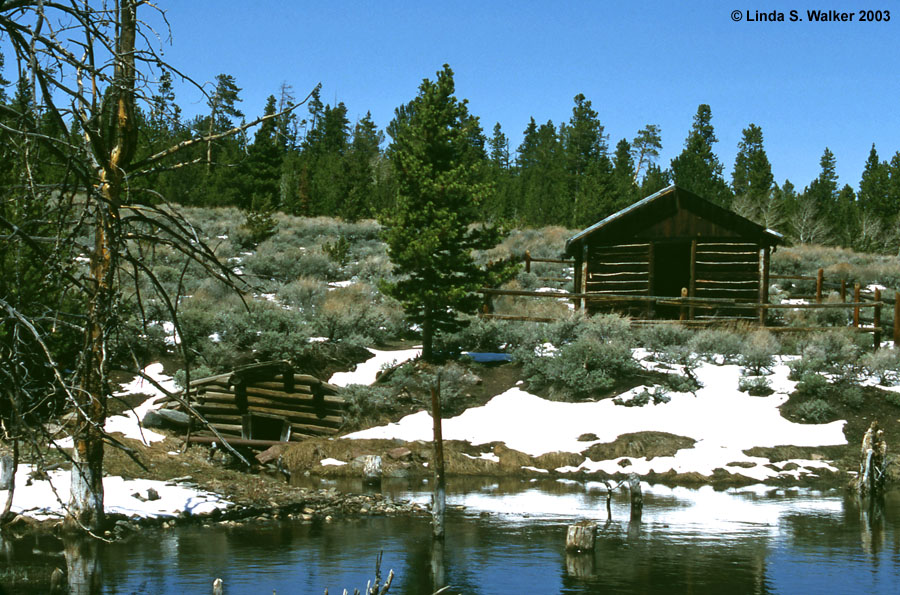 Cabin and spring house, Miner's Delight, Wyoming