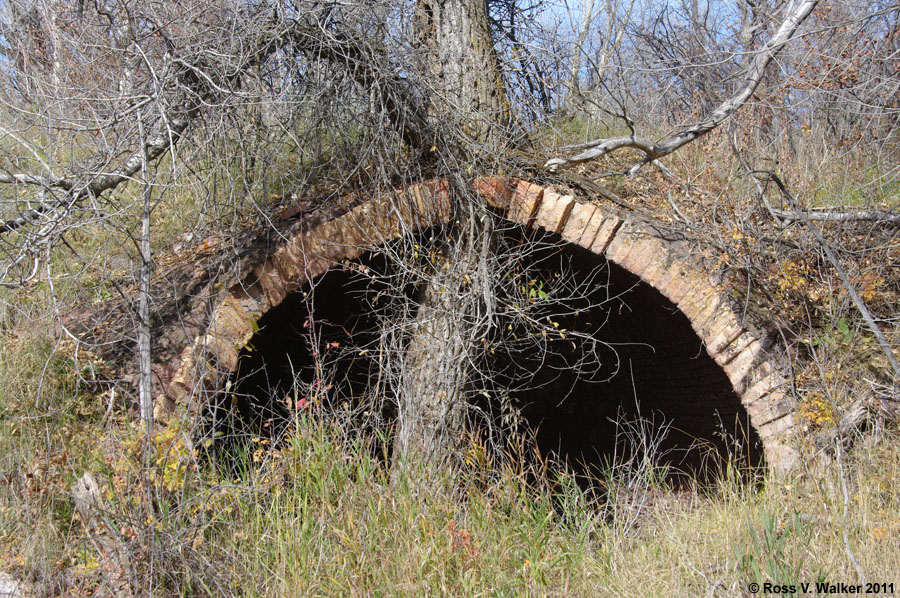 Tree growing through the top of a ruined coke oven, Redstone, Colorado