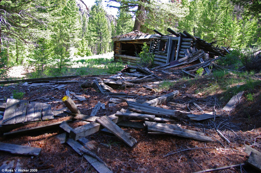 The only cabin left at Cliff City, White Knob Mountain, Idaho