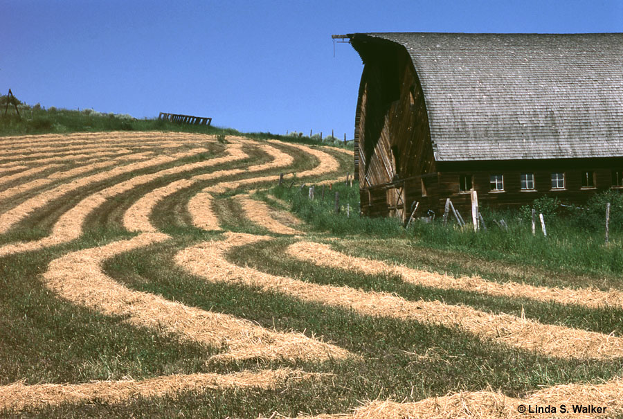 Barn and hayfields, Lanark, Idaho