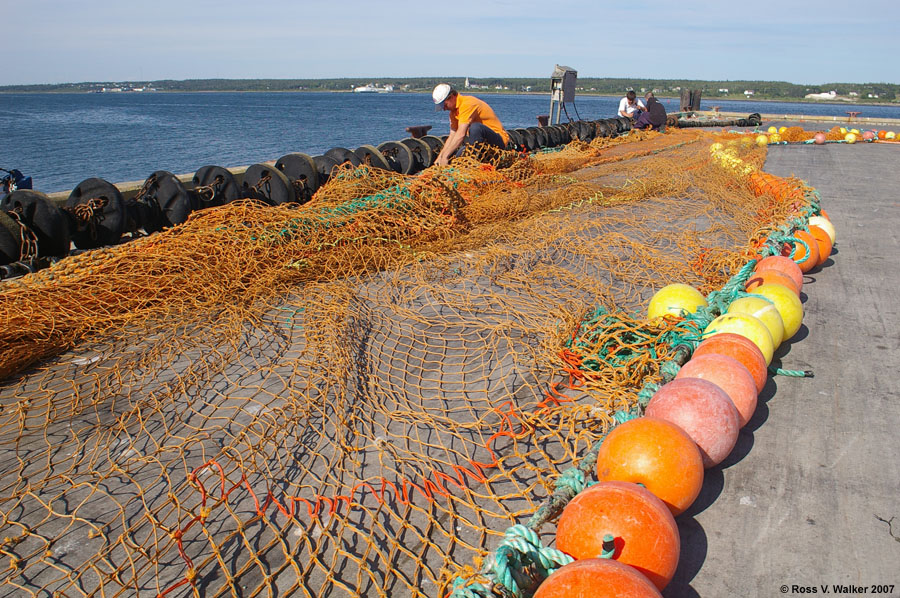 Men repairing fishing nets, West Pubnico, Nova Scotia, Canada