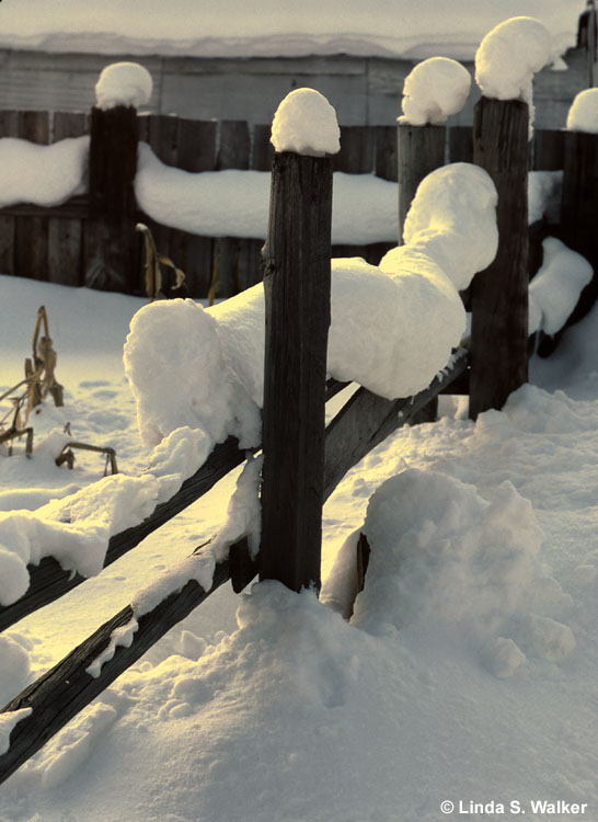 Snowman on a fence, Montpelier, Idaho