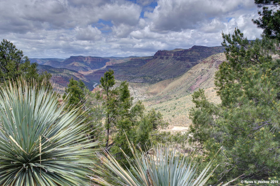 Salt River Canyon, Arizona