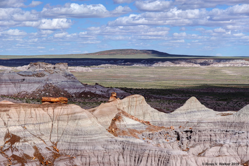 Petrified log on an eroded ridge at Petrified Forest National Park, Arizona