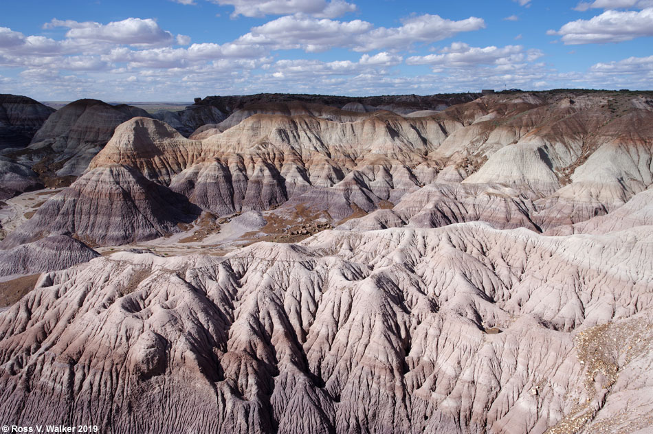 Blue Mesa badlands, Petrified Forest National Park, Arizona