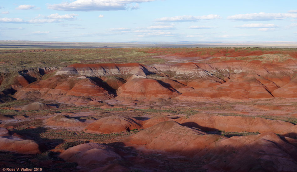 Painted Desert fromTiponi Point, Petrified Forest National Park, Arizona