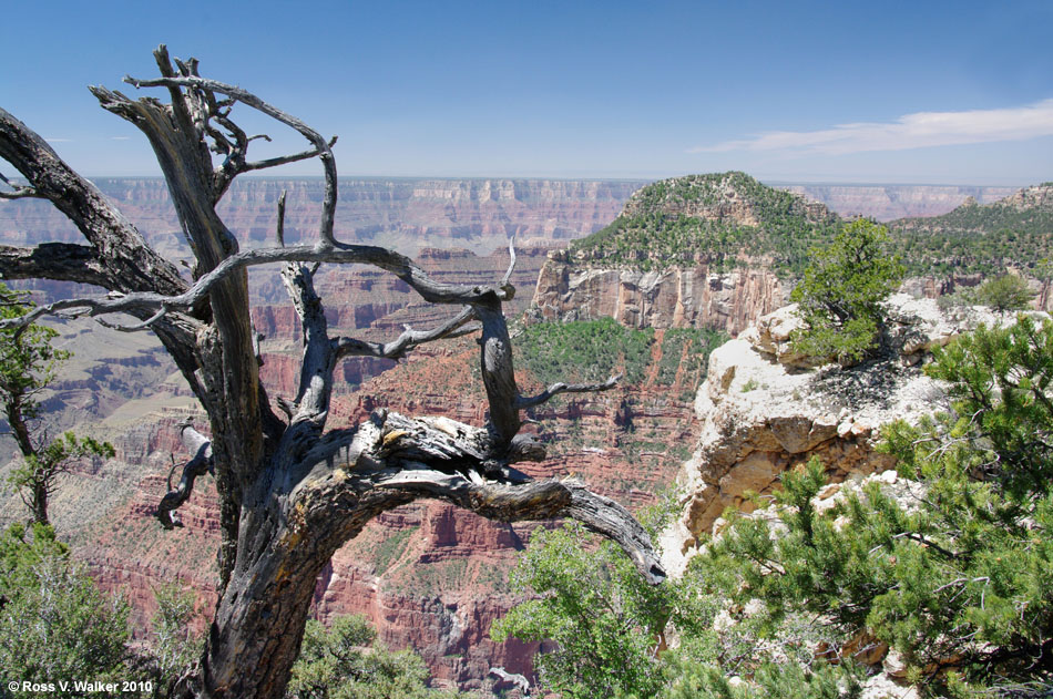 Grand Canyon from the north rim visitor's center, Arizona